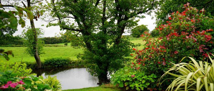 8 tips voor het creëren van een landelijke tuin