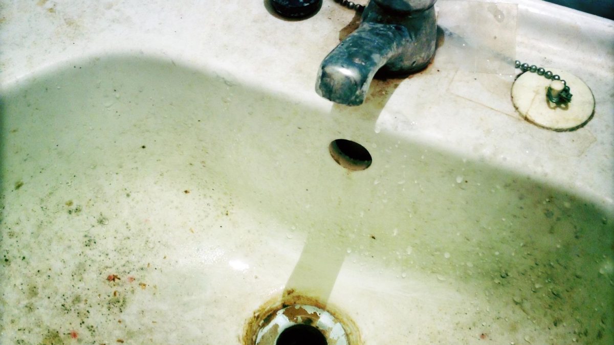 fruitvliegjes in badkamer