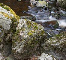 camping rivier ardennen