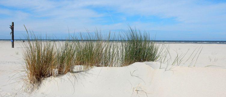 7 redenen voor een bezoek aan de Duitse Waddeneilanden