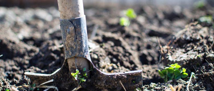 Tips om je tuin winterklaar te maken