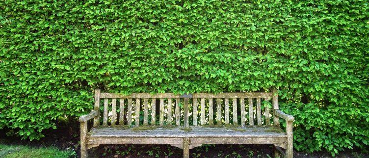 12 voorbeelden van goedkope tuinafscheidingen