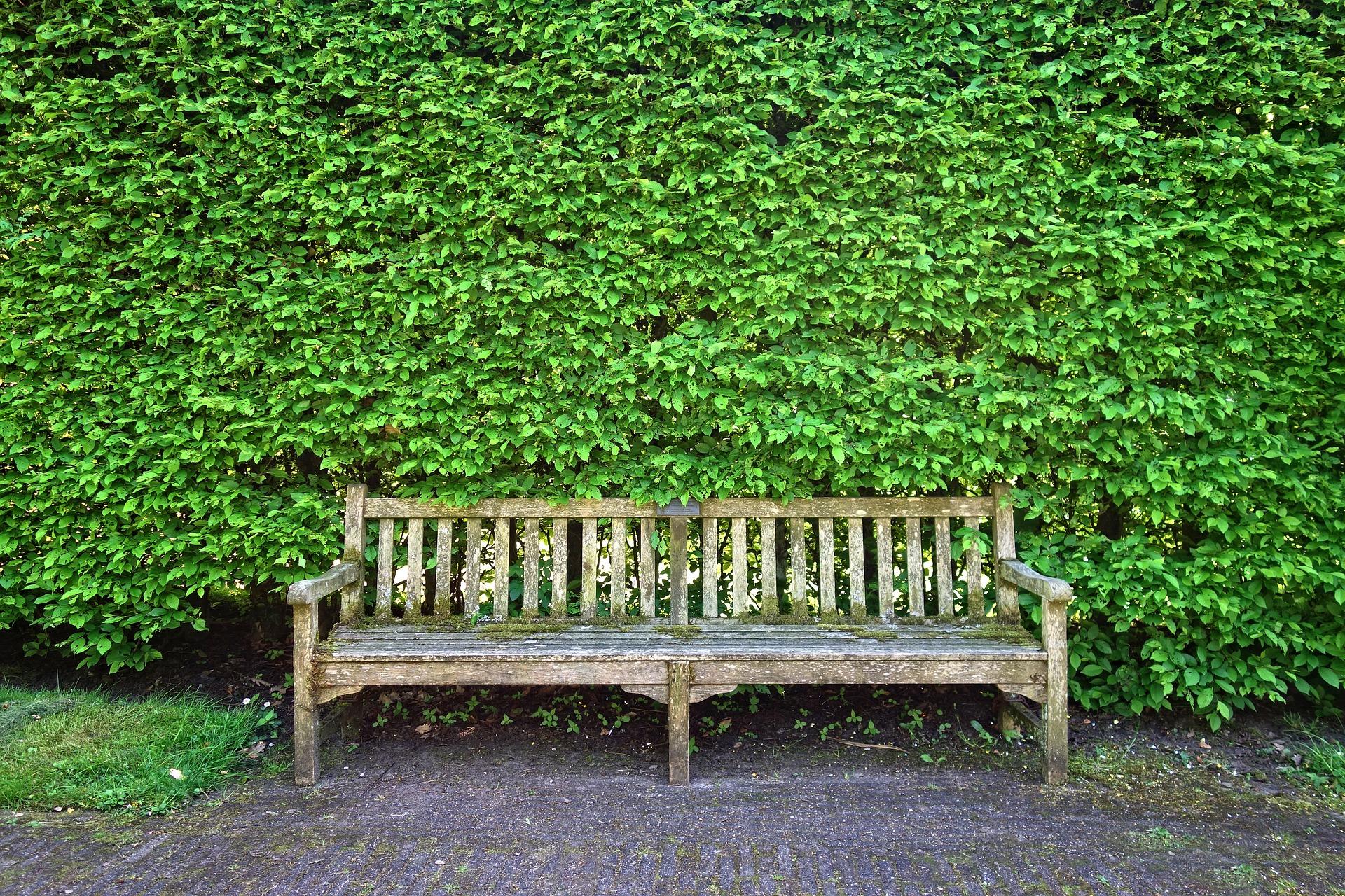 Omringd ongebruikt verschil 12 voorbeelden van goedkope tuinafscheidingen | DIK.NL