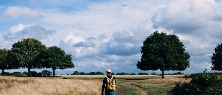 6 tips voor wandelen in Friesland