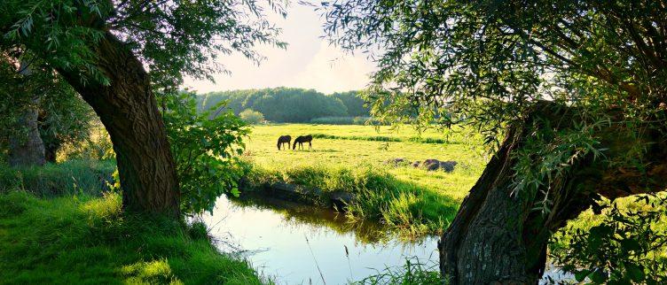 6 Romantische plekken in Nederland