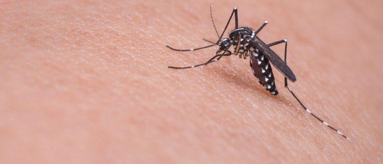 8 tips om muggen te verjagen