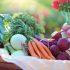 Wat is een plant based diet?