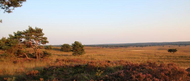 11 tips voor een vakantie op de Veluwe