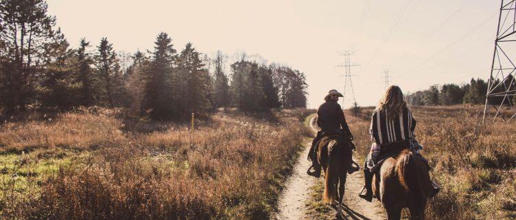 5x mooie plekken om paard te rijden in Nederland