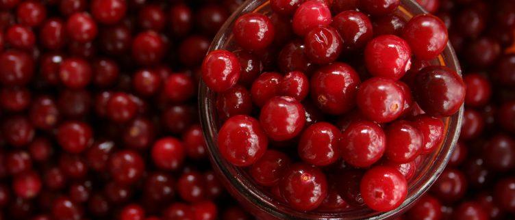 Gezondheidsvoordelen van cranberry capsules