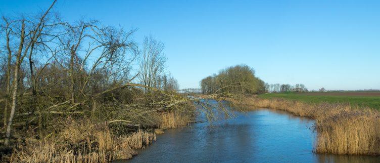 7 tips voor een rondvaart door de Biesbosch