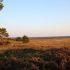6x leuke hotels op de Veluwe