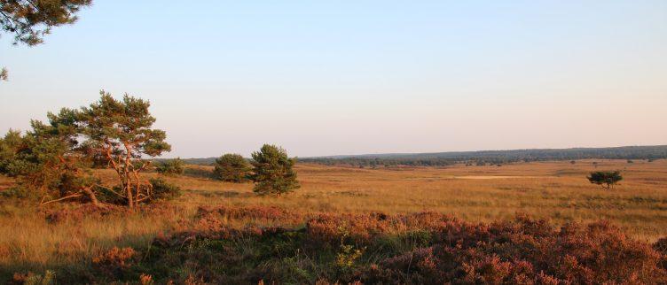 6x leuke hotels op de Veluwe