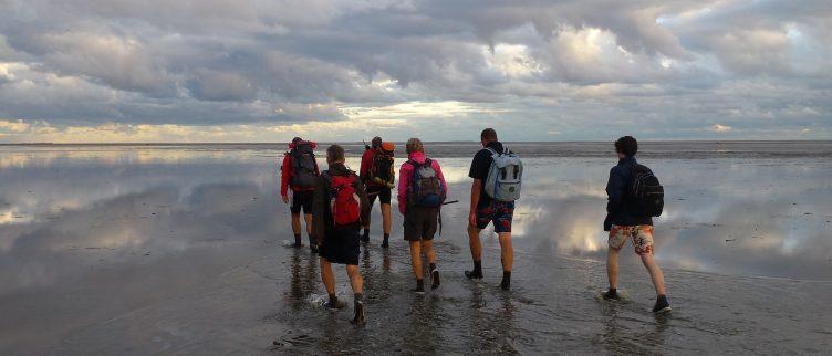 Wadlopen; wat is het en wat maakt het uniek?