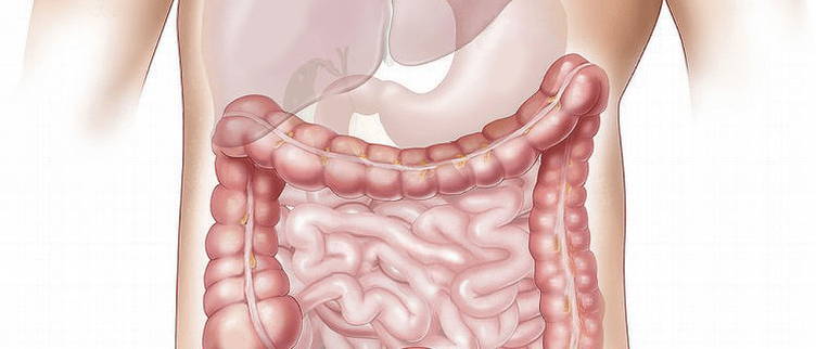 7 gezondheidsvoordelen van een darmspoeling