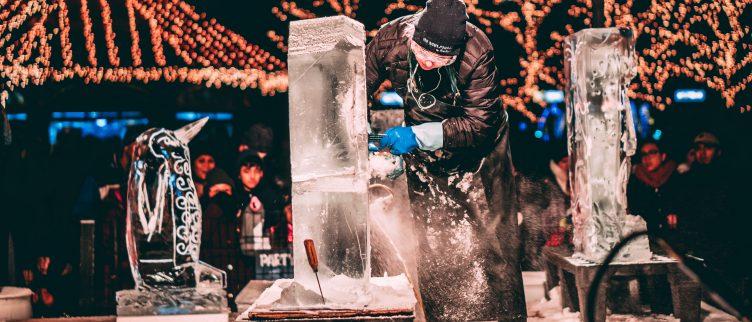 Ijssculpturen in Nederland en België; exposities en workshops