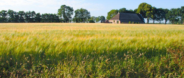 De 7 leukste musea in Brabant