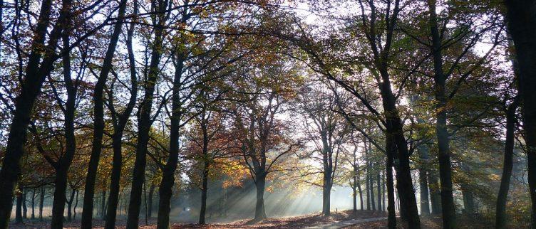 De 15 leukste uitjes van Gelderland